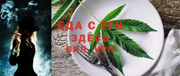 дмт Каменка