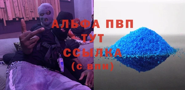 дмт Каменка