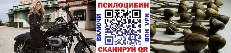 где купить наркоту  МЕГА онион  Галлюциногенные грибы MAGIC MUSHROOMS  Щёлкино 